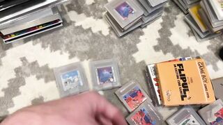 My rare GameBoy games are ruined