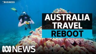 When will travel to Australia go back to normal as border reopens? | The Business | ABC News