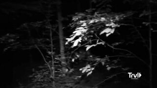 Hunting Smoke Wolves in the Dead of Night | Mountain Monsters | Travel Channel
