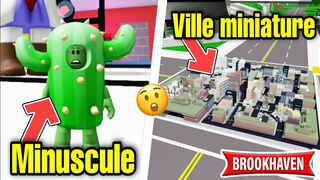 UN CACTUS MINUSCULE DANS UNE VILLE MINIATURE EN DANGER ! ROBLOX - BROOKHAVEN RP