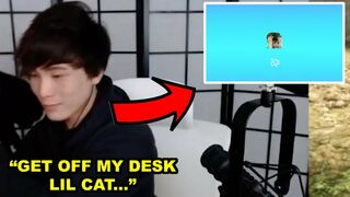 Lil Cat Turns Sykkuno's Computer Off During Stream