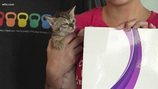 Fit Columbia holds 'Kitty Yoga' class