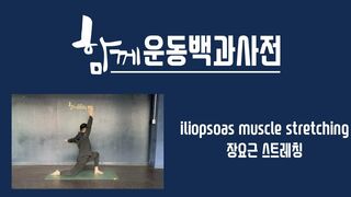 장요근 스트레칭 (Psoas stretching) _ 함께운동백과사전