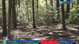 Compilation of Disc Golfers Verbally Abusing Themselves After Throwing Bad Shots ????????????