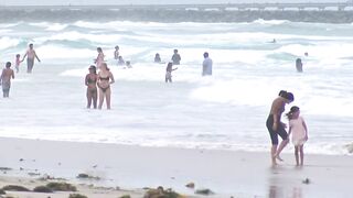 Rescue crews look for missing swimmer off Mission Beach