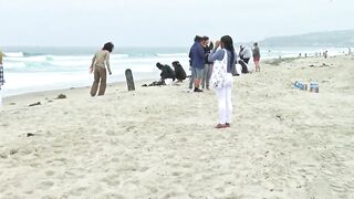 Rescue crews look for missing swimmer off Mission Beach