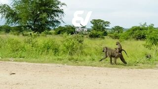 I travel 12 hours in Congo ???????? Taxi / 300km Butembo - Goma