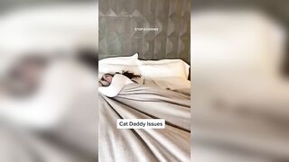 MOST VIRAL CAT DADDY COMPILATION (PART 4)