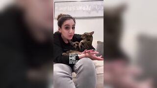 MOST VIRAL CAT DADDY COMPILATION (PART 4)