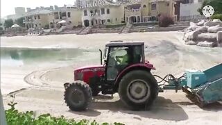 Crabs and Clams at DUBAI Beach