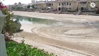 Crabs and Clams at DUBAI Beach