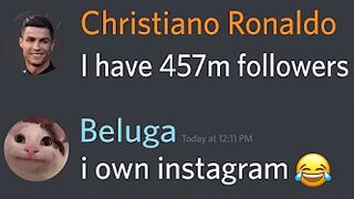 When Beluga Owns Instagram...