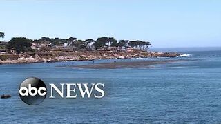 Surfer suffers ‘significant’ injury during shark attack at California beach l ABC News