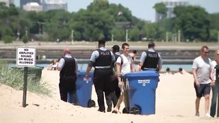 Video shows crowded chaos at North Avenue Beach; Man shot, 3 cops hurts