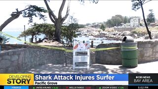 Police shut down beach in Pacific Grove after shark attack