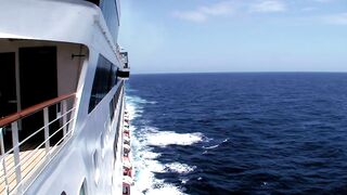 Cruising From Baltimore Is Back! | Porthole Cruise and Travel #cruise #travel #maryland #viral