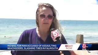 Man accused of assault and battery, vandalism in rampage over beach sticker