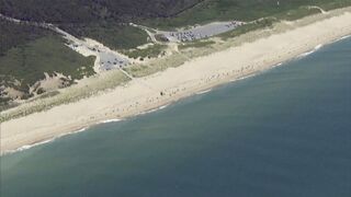 Great white shark spotted off Cape Cod beach