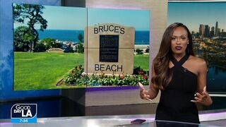 Update on future of Bruce's Beach