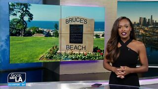 Update on future of Bruce's Beach