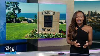 Update on future of Bruce's Beach