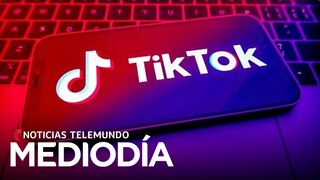 Por esto creen que TikTok es una amenaza para la seguridad | Noticias Telemundo