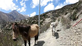 Himalaje i Najpiękniejszy Szlak Świata [TRAILER]