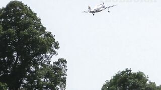 RC PLANE CRASH - CY MODELS P-47 THUNDERBOLT - SAITO FG90 R3 - STRIKES A TREE AT WESTON PARK - 2022