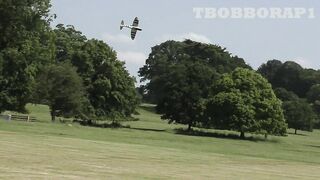 RC PLANE CRASH - CY MODELS P-47 THUNDERBOLT - SAITO FG90 R3 - STRIKES A TREE AT WESTON PARK - 2022