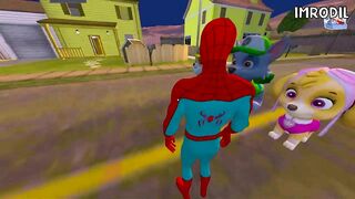 NEW Paw Patrols Help Spider-Man | Funny NEW Experiments with ROD |Imrodil|