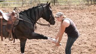 Tana Renick - Stretching Your Horse