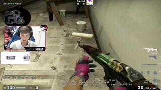 m0nesy bugs compilation from last stream