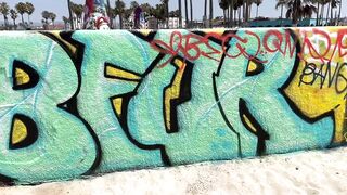 Venice Beach Graffiti Pit