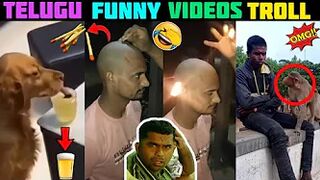 Funny Videos Troll | Telugu Latest Trolls | #telugucomedyvideos | #telugutrolls | #telugucomedy