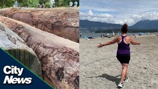 Where did Vancouver’s beach logs go?