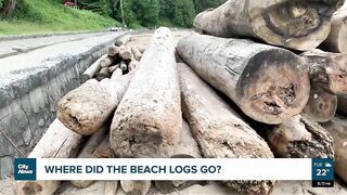 Where did Vancouver’s beach logs go?