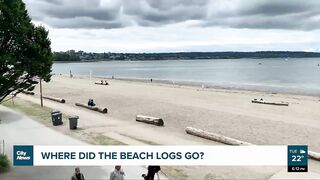 Where did Vancouver’s beach logs go?