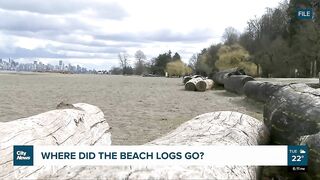 Where did Vancouver’s beach logs go?