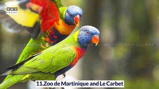 15 Top-Rated Tourist Attractions in Martinique | Travel Video | Travel Guide | SKY Travel