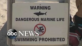 Authorities warn beach goers of sharks