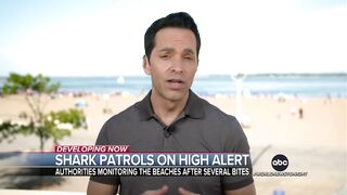 Authorities warn beach goers of sharks