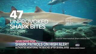 Authorities warn beach goers of sharks