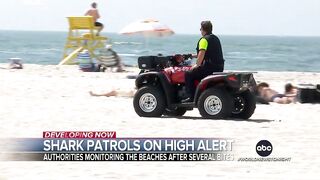 Authorities warn beach goers of sharks