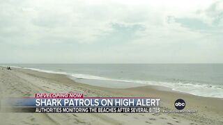 Authorities warn beach goers of sharks