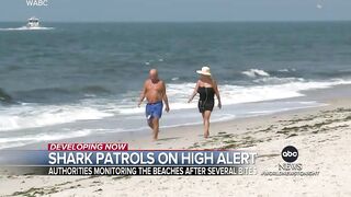 Authorities warn beach goers of sharks