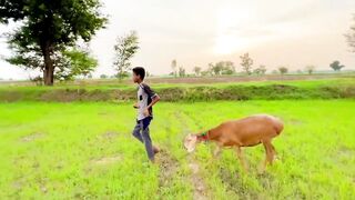 Bakra Chor ???? New Business ???? Funny Video Dawood Sabir Vlogs