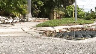 St. Pete Beach turns to residents to keep storm drains clean