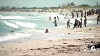 Shark sighting near Juno Beach forces swimmers out of water