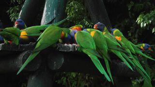 Discovery Parks Airlie Beach