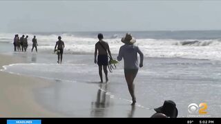 Surfer bitten by shark at Smith Point Beach, Long Island